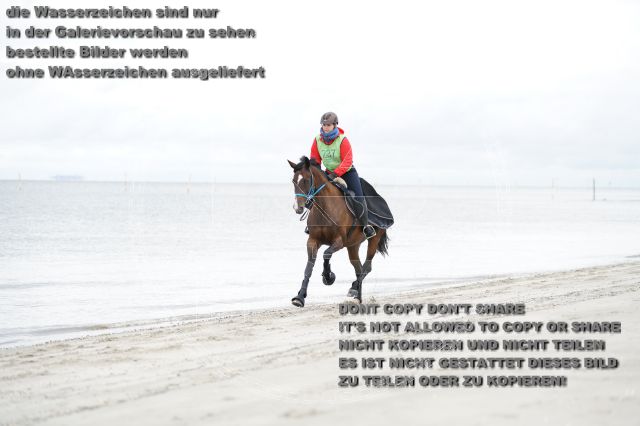 s_K3F04746.JPG